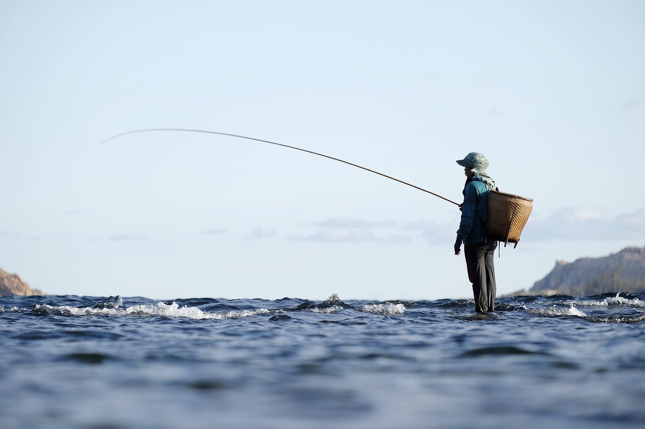 Fishing: The Complete Buyer's Guide for 2026
