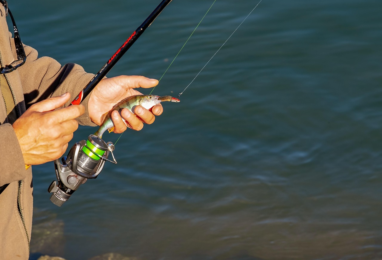 Pro Tips: Getting Results With Fishing Techniques in 2026