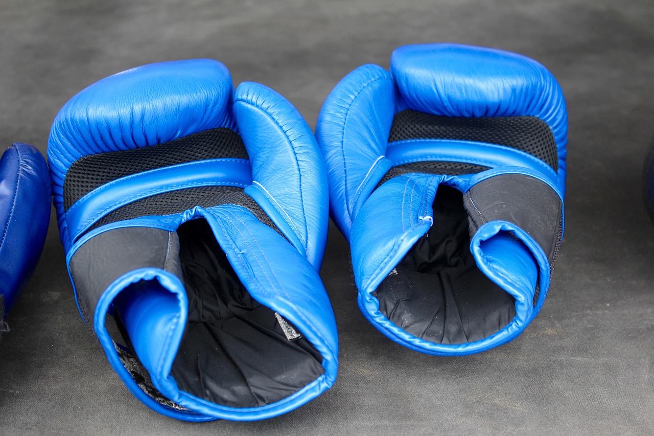 Best Boxing Gloves for Beginners by Hand Size & Padding Type on a Budget