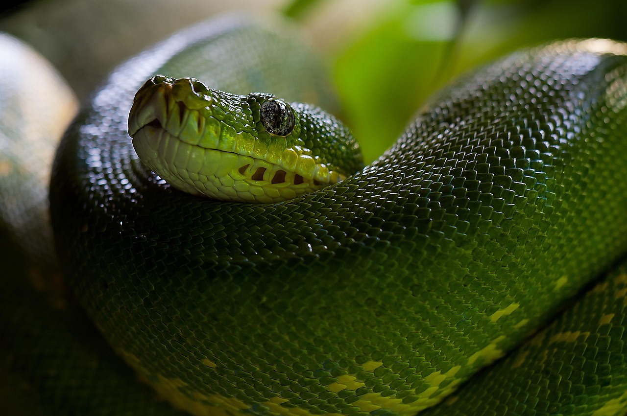Best Picks for Top-Rated Python Programming Books for Data Science Beginners