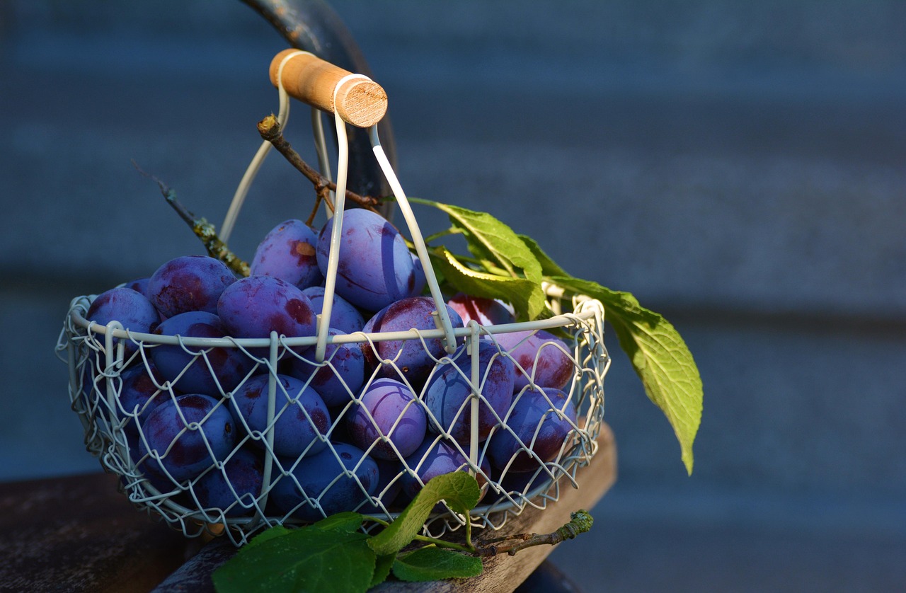 Are DIY Welcome Basket Ideas Worth It? Honest Breakdown