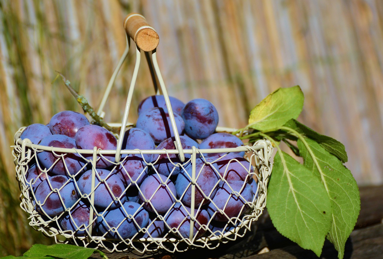 Budget-Friendly DIY Welcome Basket Ideas for Housewarming Parties