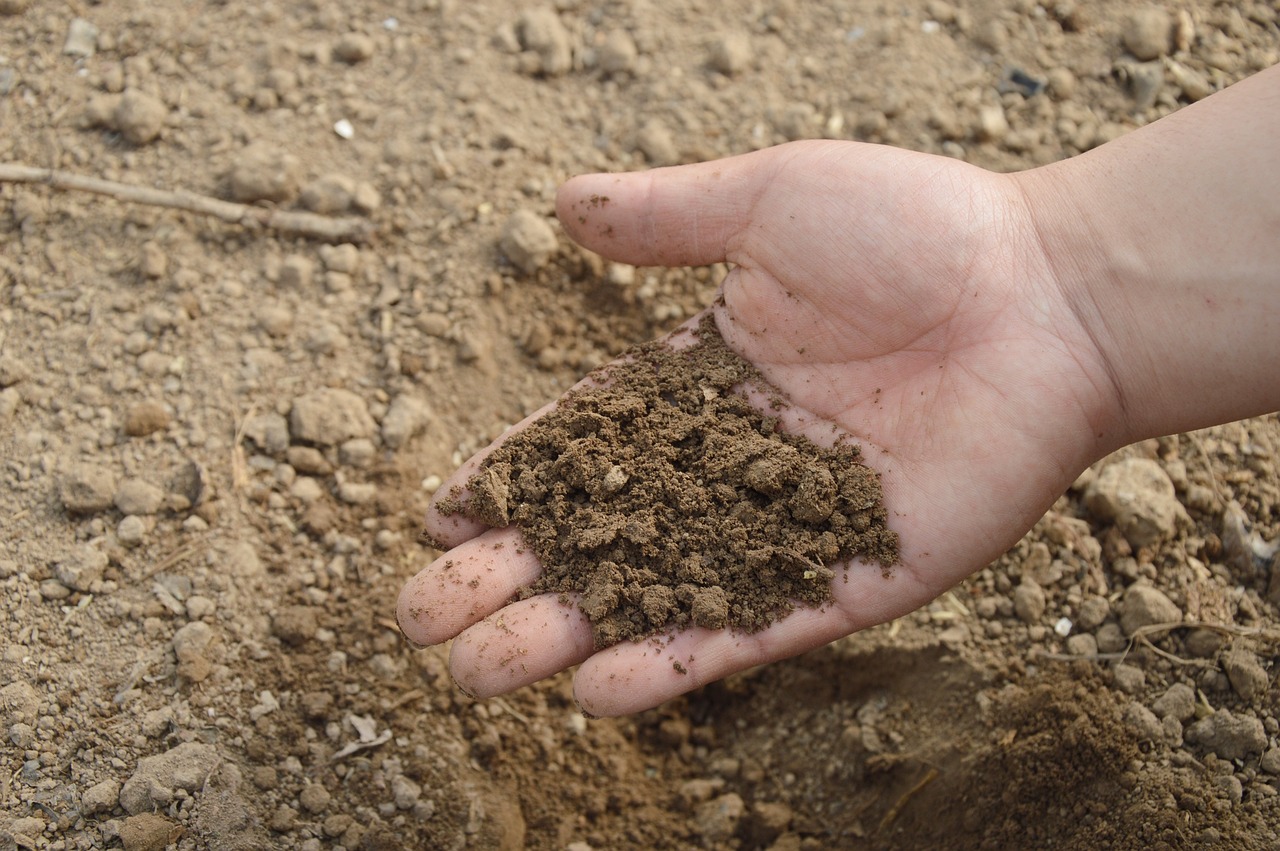 7 Mistakes to Avoid With Organic Compost Tumblers and Bins