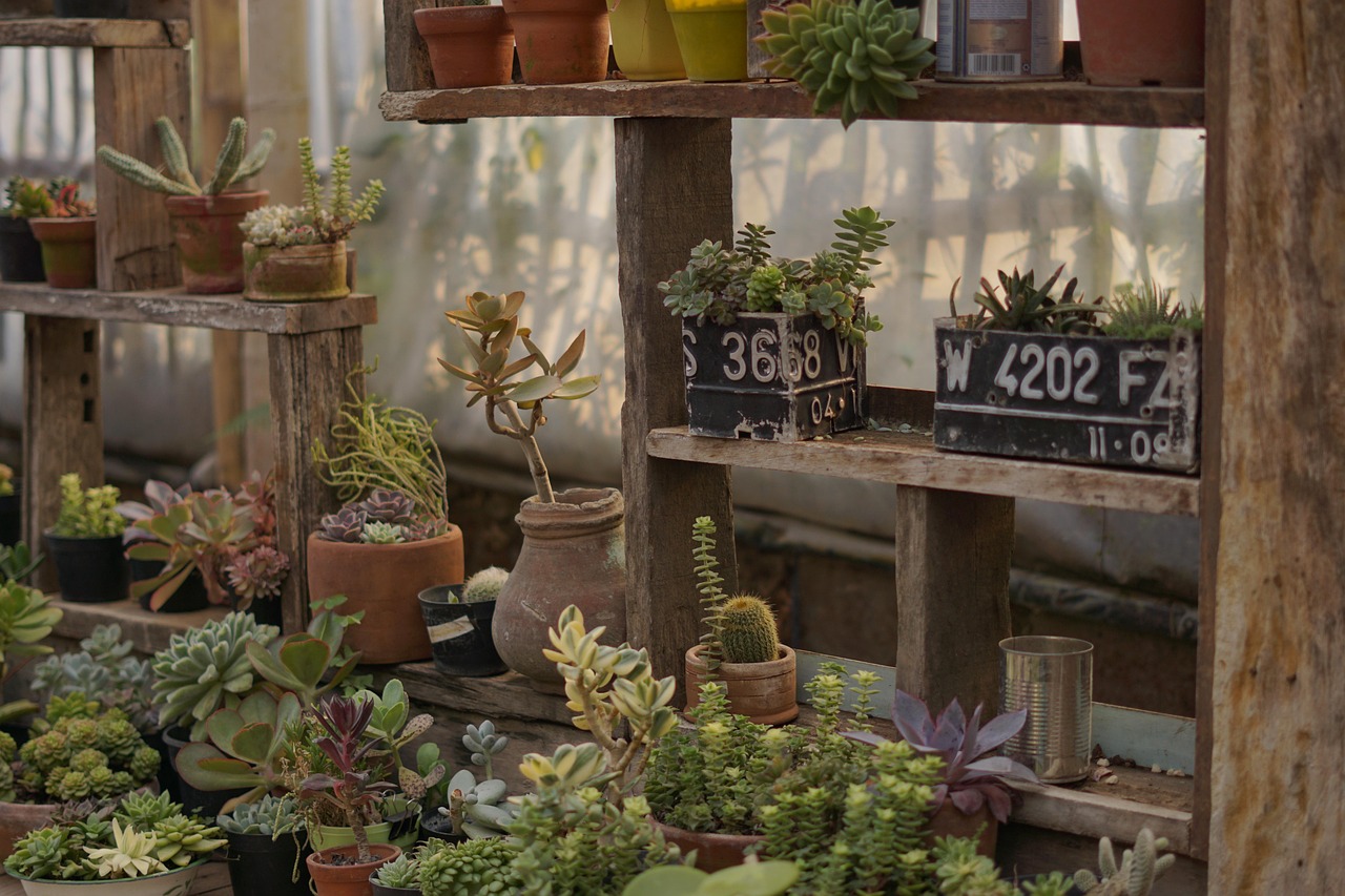 Pro Tips for Getting Results With Beginner-Friendly Hydroponic Systems Indoors