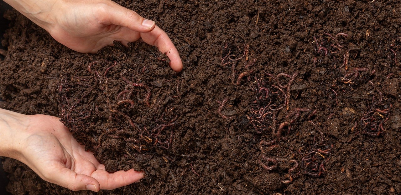 Organic Compost Tumblers and Bins for Home Gardeners: A Beginner's Guide