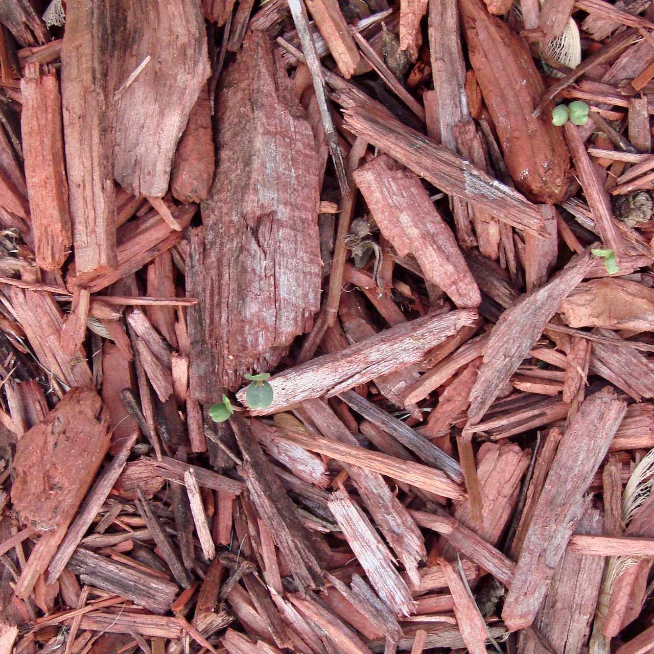 Are Organic Compost Tumblers and Bins for Home Gardeners Worth It?