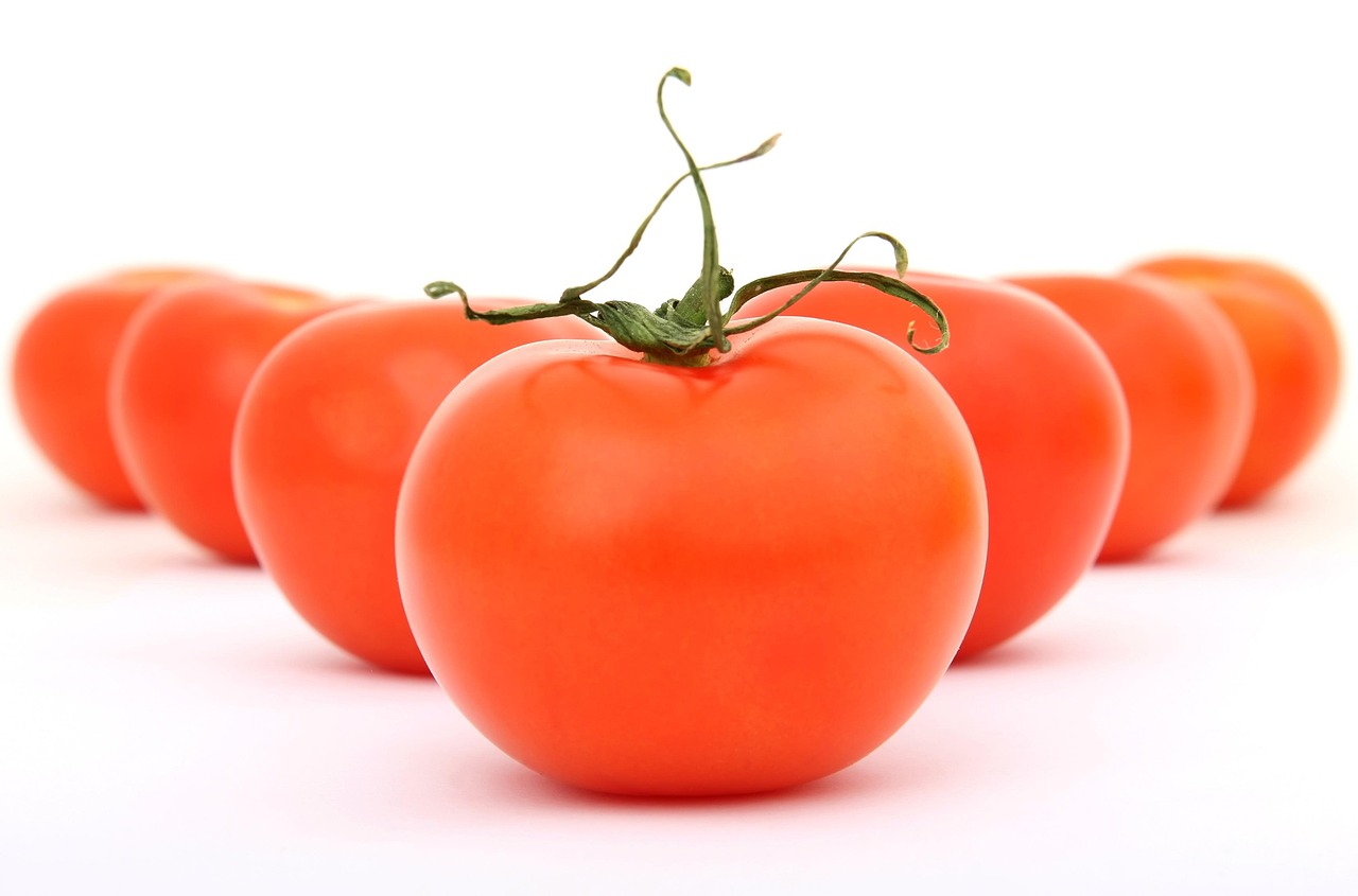 Best Organic Fertilizer for Vegetable Gardens: The Complete Buyer's Guide