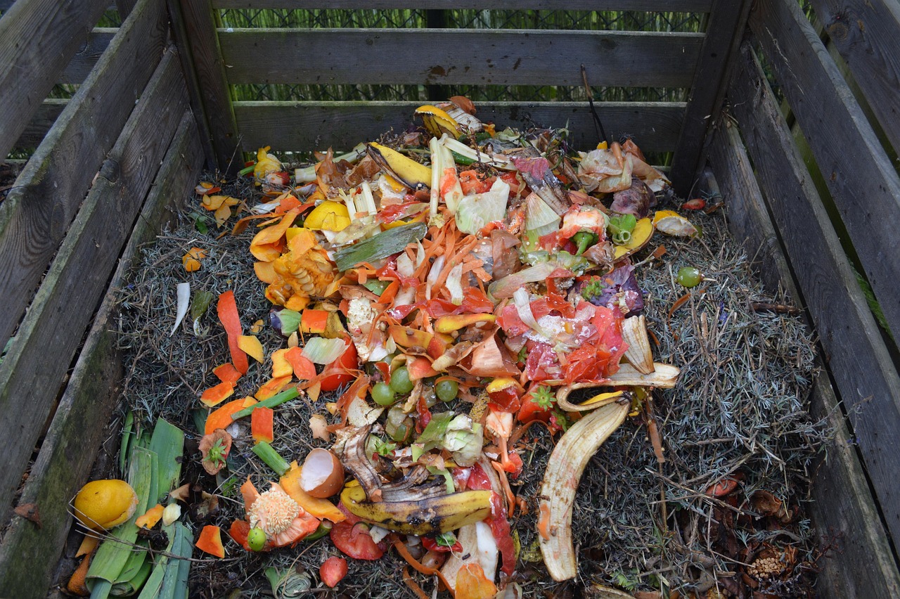 Best Organic Compost Tumblers and Bins for Home Gardeners