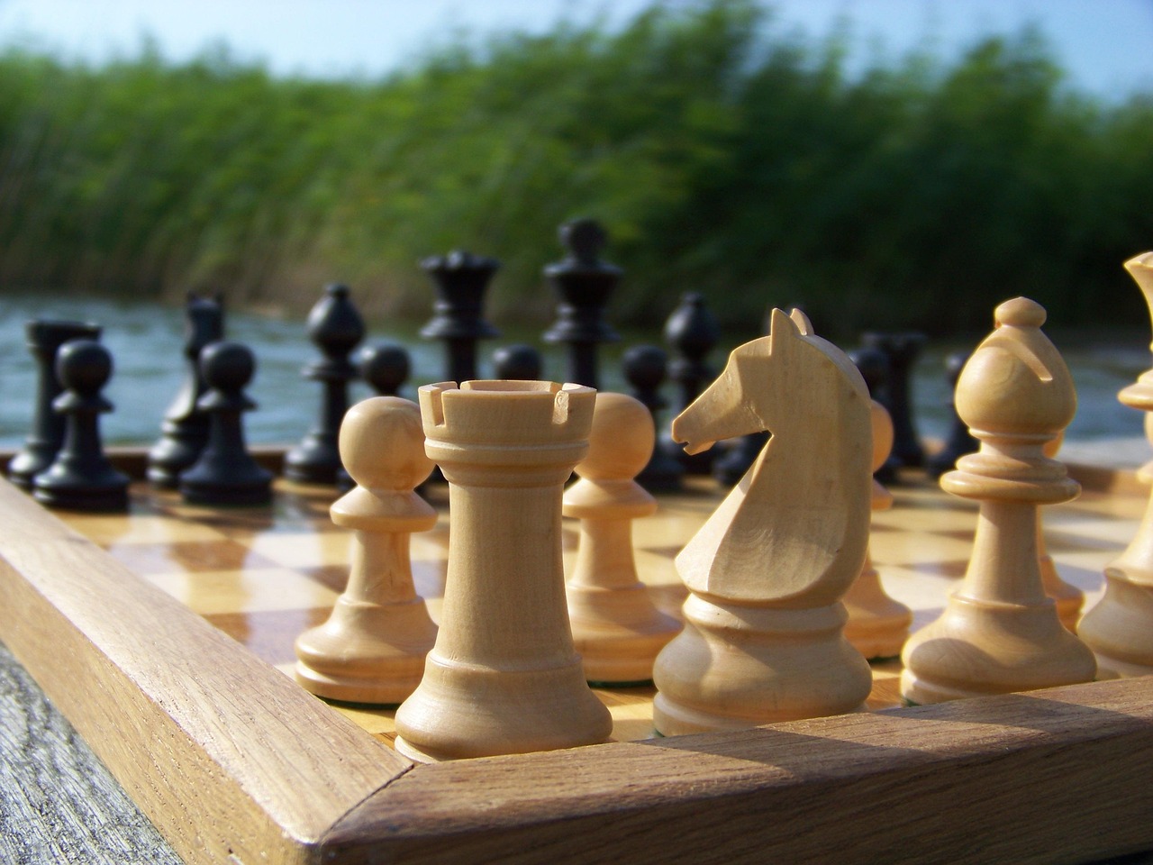 High-End Staunton Chess Pieces for Tournament Use: A Beginner's Guide