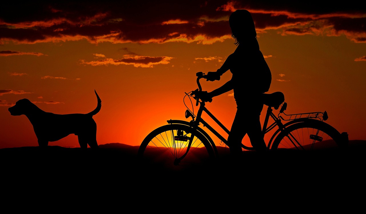 Pro Tips: Online Training for Happy Dogs (2026 Guide)