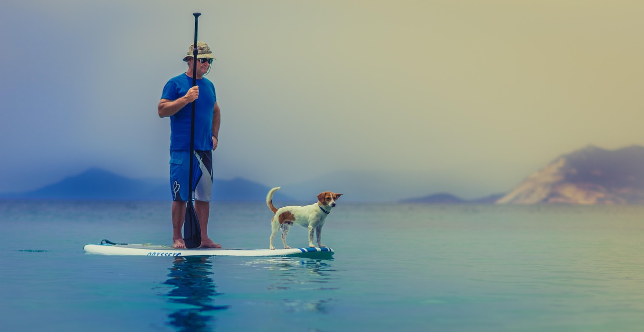 Best Online Dog Training on a Budget (2026 Guide) — Online Training for Happy Dogs