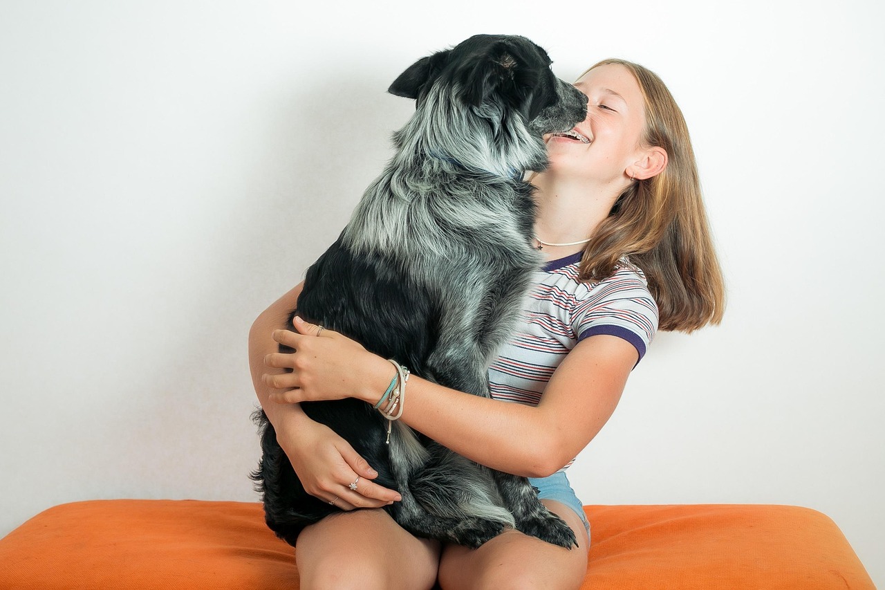 Best Online Dog Training Courses for 2026