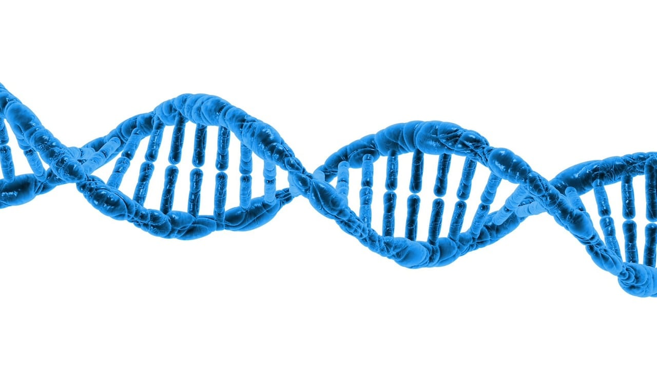 Best Amino Acid Blends for Recovery & Sleep (2026 Guide)