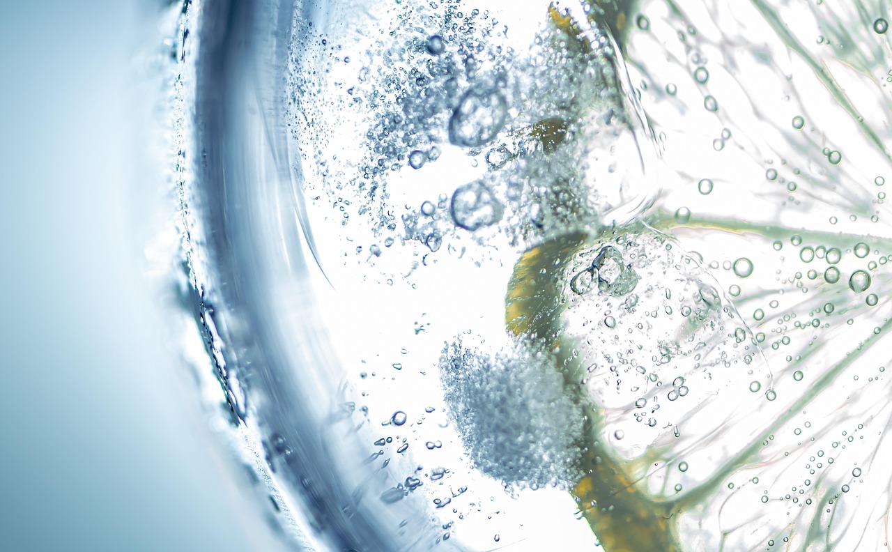 EchoXen Buyer's Guide: What to Look For in 2026
