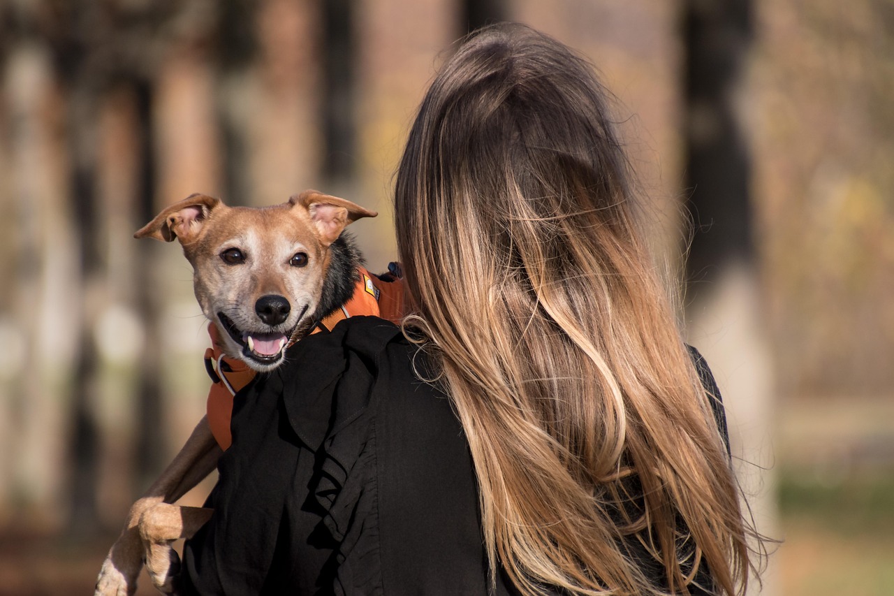 Best Online Dog Training Courses for 2026 — Online Training for Happy Dogs